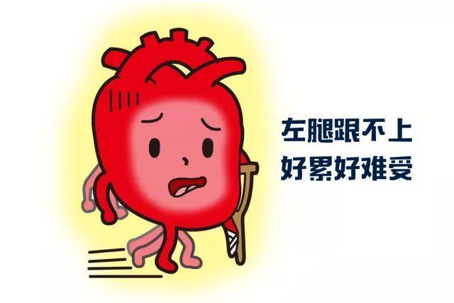 有了心衰怎么办