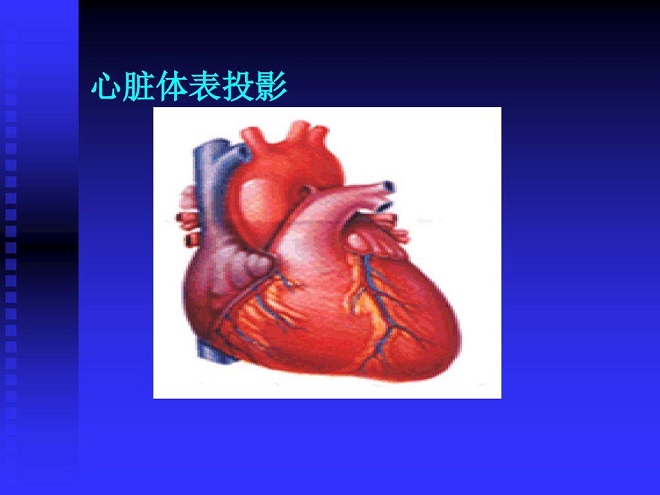 心脏膜积液怎么办
